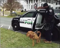  ?? New Milford Police Department ?? New Milford Officer Mark Williams and his new partner, K-9 Ella.