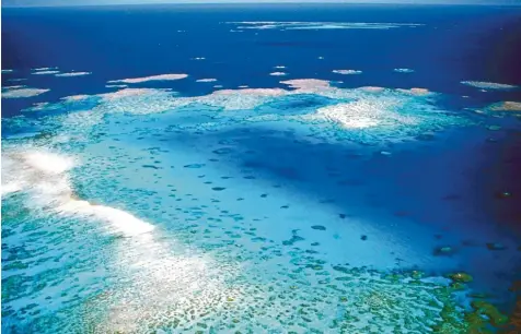  ?? Foto: Great_Barrier_Reef_Marine_Park_Authority/dpa ??