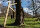  ?? ?? National Covid Memorial in Pollok Country Park