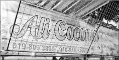  ??  ?? A coconut business banner slung across Ali’s stall.