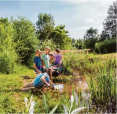  ?? Fotos: Agentur Fouad Vollmer ?? Beim Mooseum in Bächingen können Kinder auf dem Wasserspie­lplatz Flora und Fau na an der Brenz erleben.