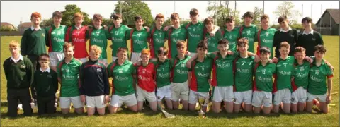  ??  ?? The successful Gorey Community School squad after the Marty Barrett Cup final.