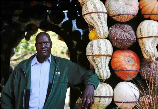  ??  ?? Big-hearted: John ajak, shown here outside his creation of the cinderella-themed pumpkin village in the arboretum he works at, sends any money he makes from his bestsellin­g memoir to his homeland, Sudan, to help equip schools. — mcT