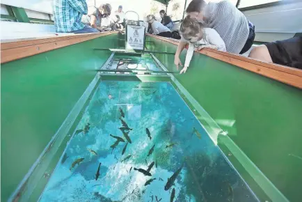  ?? PHOTOS BY STEPHEN M. DOWELL/AP ?? Visitors enjoy the view from a glass-bottom boat at Silver Springs, Fla., on Jan. 6.