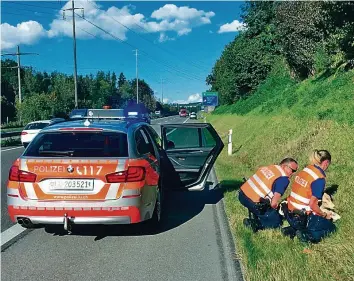  ?? LUZERNER POLIZEI ?? Auch bei Einsätzen wegen Tieren konnte die Luzerner Polizei nicht immer ausrücken.