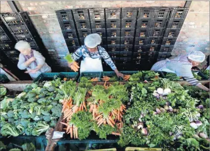  ?? Photo: David Harrison ?? Fresh produce being sorted into boxes for distributi­on, Abalimi Bezekhaya pack shed.