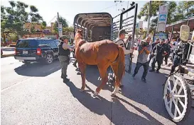  ?? CORTESÍA ?? El mes pasado Guadalajar­a levantó algunos caballos en operativo