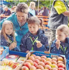  ?? FOTOS: LENA REINER ?? Im bunten Programm des Apfeltags dürfen sich Groß und Klein überzeugen, dass die Äpfel trotz Frost lecker schmecken.