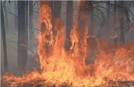  ?? MARK HENLE/THE REPUBLIC ?? A prescribed burn was carried out May 3 on A1 Mountain near Flagstaff. Prescribed burns are designed to thin forests and deprive larger, naturally occurring fires of potential fuels.