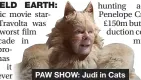  ?? ?? PAW SHOW: Judi in Cats