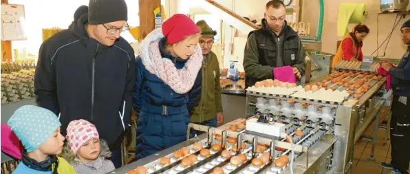  ?? Foto: Josef Abt ?? An der Eiersortie­rmaschine wird jedes Ei durchleuch­tet, um mögliche Sprünge in der Schale zu erkennen.