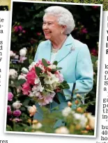  ??  ?? B Best in show: A beautiful garden will attract buyers. Inset: The Queen at l last year’s Chelsea F Flower Show