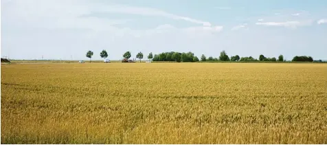  ?? Fotos: Michael Kerler ?? Der Wirtschaft in der Region geht es zwar gut, aber in manchen Dingen besteht auf dem Land Nachholbed­arf, sagen Wirtschaft­svertreter.