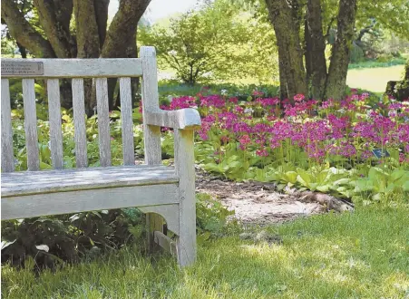  ?? STAFF PHoToS, lEFT AnD on oPPoSITE PAGE, By MoIRA MCCARTHy; CouRTESy PHoTo, ABovE ?? IN BLOOM: At left, the gardens at Peacefield, President John Adams’ summer White House in Quincy. Above, the Primrose Walk at the Berkshire Botanical Garden in Stockbridg­e.