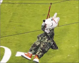  ?? Charlie Riedel Associated Press ?? KC WOLF rides on a zip line before a 2010 game in Kansas City. A riskier stunt in 2013, and a 75-foot fall into the seats, sent him to the hospital with severe injuries.