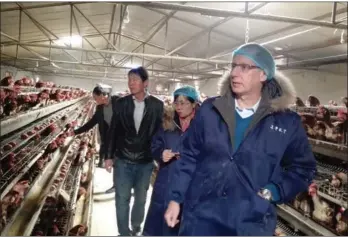  ?? PROVIDED TO CHINA DAILY ?? Jan Cortanbach, CTO of Royal De Heus China, an investor in Wellhope, inspects one of its facilities in March.
