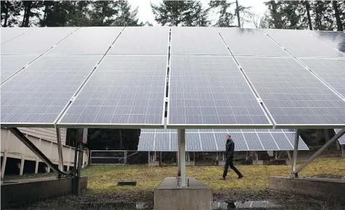  ?? THE CANADIAN PRESS FILES ?? Teacher and administra­tor Reid Wilson walks among the solar panels on the grounds False Bay School on Lasqueti Island. The school was converted to solar energy in early 2016.