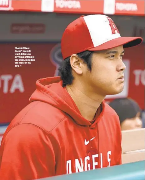  ?? AP ?? Shohei Ohtani doesn’t seem to want details on anything getting in the press, including the name of his dog.