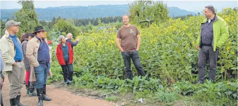  ?? FOTO: HIPP ?? Informiere­n vor Ort über die „Durchwachs­ene Silphie“: Uwe Kießling und Land- und Energiewir­t Johannes Schneider (von rechts).