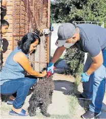  ?? CORTESÍA: MUNICIPIO ?? Recomienda Salud atender a las mascotas