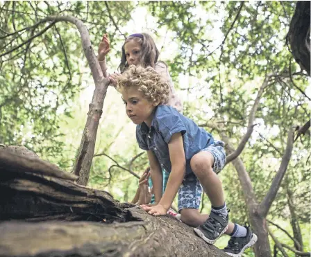  ?? ?? Chance for children to explore the South Downs with new scheme