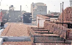  ?? AFP ?? Swarms of locusts are seen atop a residentia­l building in Jaipur in the Indian state of Rajasthan on Tuesday.