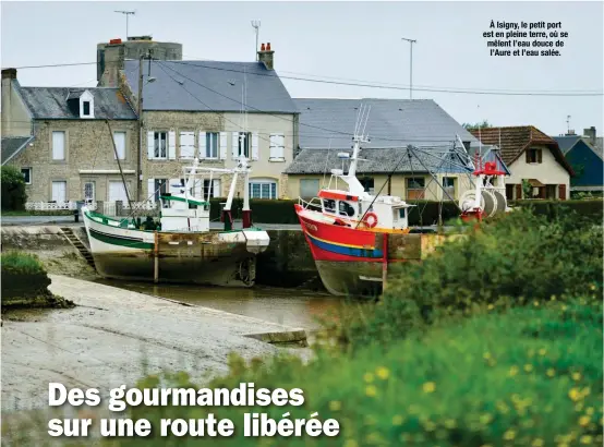  ??  ?? CALVADOS À Isigny, le petit port est en pleine terre, où se mêlent l’eau douce de l’Aure et l’eau salée.