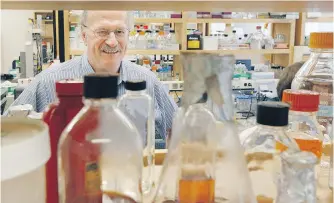  ??  ?? UBC researcher Bob Hancock hopes to start testing his peptide treatment for abscesses in humans within a year.