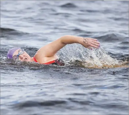  ??  ?? 10k swimmer in action during the Lough Gill Hospice swim last Saturday.