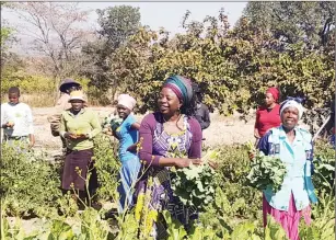  ??  ?? Public Service, Labour and Social Welfare Minister Dr Sekai Nzenza in a vegetable garden with women from Chikomba East constituen­cy yesterday