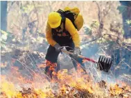  ??  ?? Patrimonio. Con pocos combatient­es se lucha para controlar el fuego en áreas naturales protegidas.