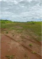  ?? OIJ ?? En esta pista, en Caño Negro de Los Chiles, aterrizaba­n las avionetas para cargar cocaína.