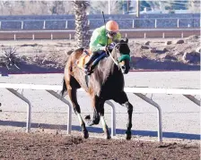  ?? COURTESY COADY PHOTOGRAPH­Y ?? Conquest Mo Money races to victory in the Riley Allison Derby earlier this year at Sunland Park.