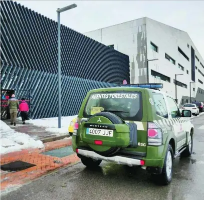  ??  ?? El Cuerpo de Agentes Forestales de la Comunidad de Madrid trasladó a pacientes a recibir tratamient­o