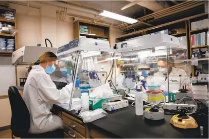  ?? ANA RAMIREZ U-T ?? Researcher­s Sarah Perkins (left) and Madison Schwab work with coronaviru­s genomes at Scripps Research in La Jolla. Local research institutes are tracking the scope and spread of the virus.