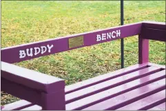  ??  ?? The Buddy Bench at Harbor Park recently installed at Harbor Park in Middletown.