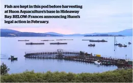  ??  ?? Fish are kept in this pod before harvesting at Huon Aquacultur­e’s base in Hideaway Bay. BELOW: Frances announcing Huon’s legal action in February.