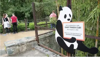  ??  ?? Visitors look at male giant panda Tian Tian following the birth of the National Zoo’s first giant panda cub in five years. — The Washington Post photo by Evelyn Hockstein