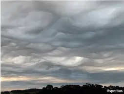  ??  ?? Asperitas