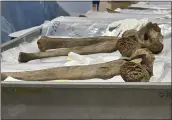  ?? MIKE HOUSEHOLDE­R — THE ASSOCIATED PRESS ?? Mastodon bones are displayed at the Grand Rapids Public Museum in Grand Rapids, Mich., on Thursday. The bones are part of an exhibit and were unearthed last year during a drainage dig in western Michigan.