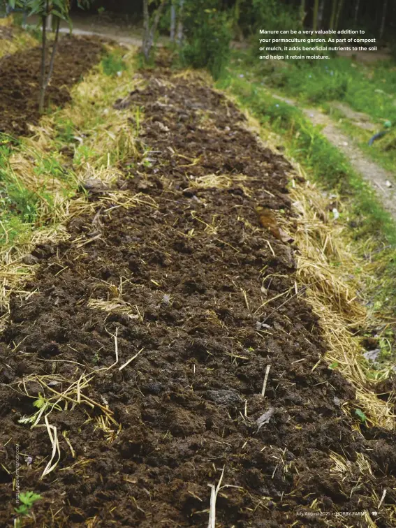  ??  ?? Manure can be a very valuable addition to your permacultu­re garden. As part of compost or mulch, it adds beneficial nutrients to the soil and helps it retain moisture.