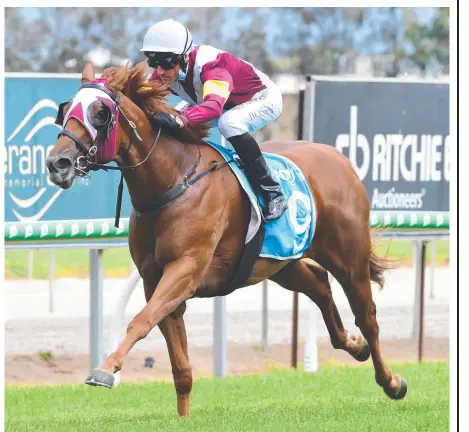  ??  ?? Glen Boss rides Swift Witness to win the Gold Pearl. Picture: Courier-Mail/Grant Peters/Trackside Photograph­y