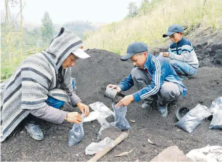  ?? EFE ?? La idea de los niños era vender unos kits para sembrar en momentos de pandemia, pero no imaginaron que llegara a tanta gente.