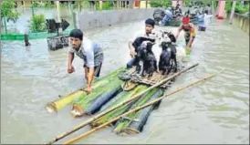  ?? PTI FILE ?? Villagers ferry their cattle to safety on a raft made with banana plant stems from a floodhit village in Nagaon district of Assam.