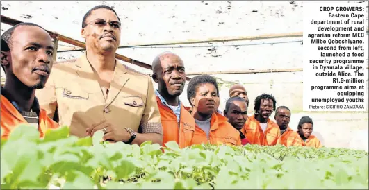  ?? Picture: SISIPHO ZAMXAKA ?? CROP GROWERS: Eastern Cape department of rural developmen­t and agrarian reform MEC Mlibo Qoboshiyan­e, second from left, launched a food security programme in Dyamala village, outside Alice. The R1.9-million programme aims at equipping unemployed youths