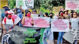  ??  ?? A recent protest in Colombo over the destructio­n of forest cover.
Pic by Priyantha Wickramaar­achchi