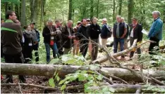  ?? Foto: Peter Graser ?? Um die richtige Mischung im Wald und besonders um die Baumart Tanne ging es bei einer Exkursion in die Staatswäld­er im Landkreis.