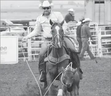  ?? Booster photo by Scott Anderson ?? Lee Wallis from Shaunavon had a successful tie down roping run during Saturday's slack performanc­e at the 2013 Boomtown Days Stampede.