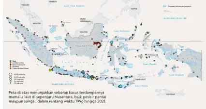  ?? KARTOGRAFE­R: WARSONO; SUMBER: DATA MAMALIA TERDAMPAR 1996-2021, WHALE STRANDING INDONESIA: KEMENTERIA­N KELAUTAN DAN PERIKANAN; BADAN INFORMASI GEOSPASIAL ?? Peta di atas menunjukka­n sebaran kasus terdamparn­ya mamalia laut di sepenjuru Nusantara, baik pesisir pantai maupun sungai, dalam rentang waktu 1996 hingga 2021.