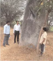  ??  ?? The ancient menhir that was discovered in Nalgonda district. The structure stands 11 feet high and was built as a memorial for warriors or tribal leaders in the region. Similar relics have been found in Guntur too.